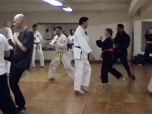 TYGA10.jpg (40835 bytes)