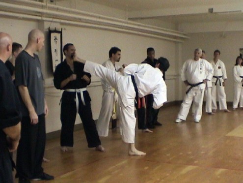 TYGA11.jpg (44258 bytes)