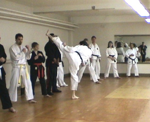 TYGA12.jpg (49586 bytes)