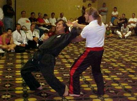 hofa10.jpg (28067 bytes)