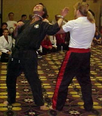 hofa14.jpg (21403 bytes)