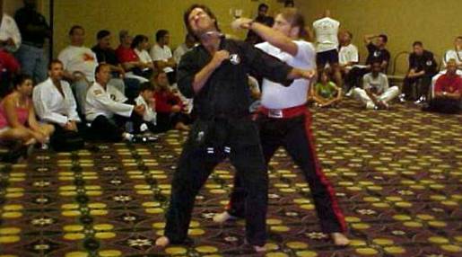 hofa2.jpg (28997 bytes)