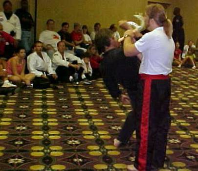 hofa3.jpg (26903 bytes)