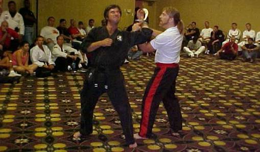 hofa4.jpg (31942 bytes)