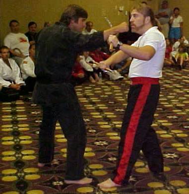 hofa7.jpg (26849 bytes)