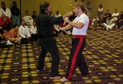 hofa8.jpg (31379 bytes)