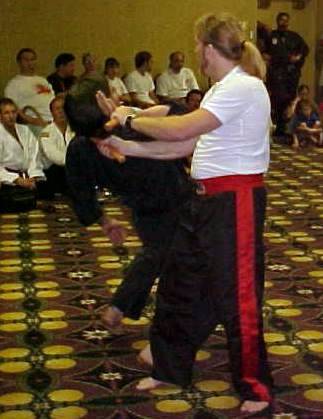 hofa9.jpg (23997 bytes)